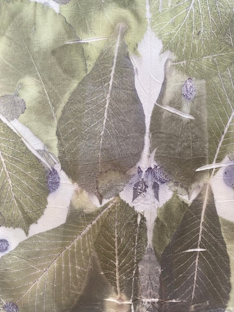 Silk Charmeuse Eco-Printed Scarf 105